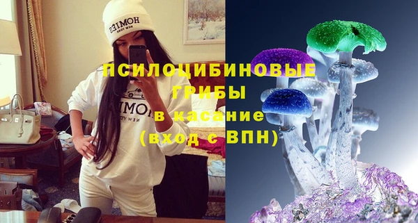 мдпв Верхний Тагил