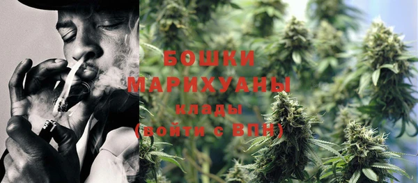 мдпв Верхний Тагил