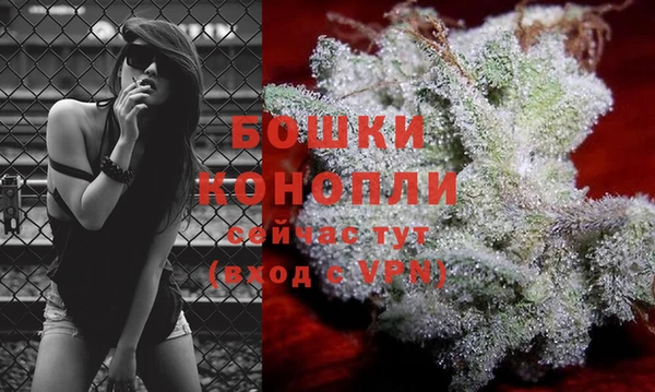 мдпв Верхний Тагил